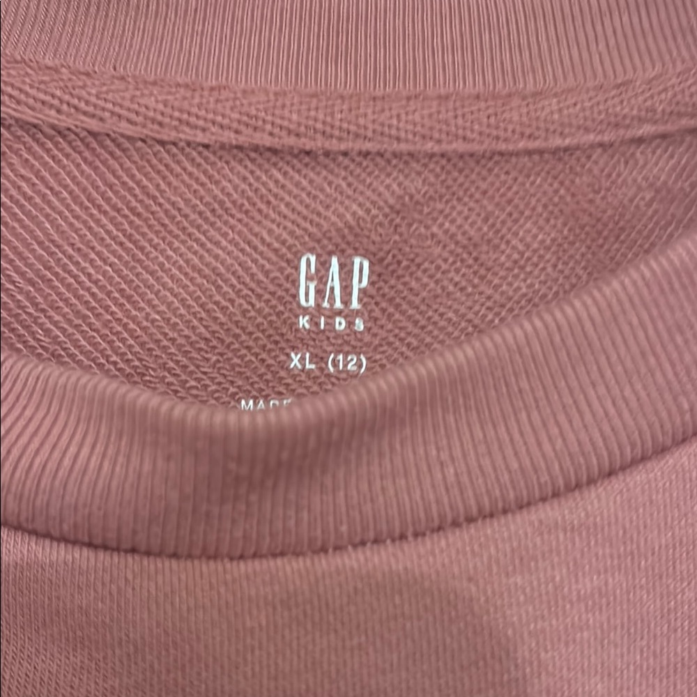 GAP Pink Sweater/Sweatshirt